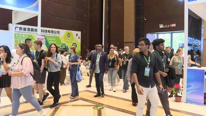 服务 推动惠东女鞋走向全球J9九游会惠东：强品牌 优(图3)