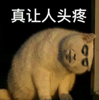700奢侈品奇葩商品为何越骂越疯狂？九游会真人游戏第一品牌1元发卡卖到2(图14)