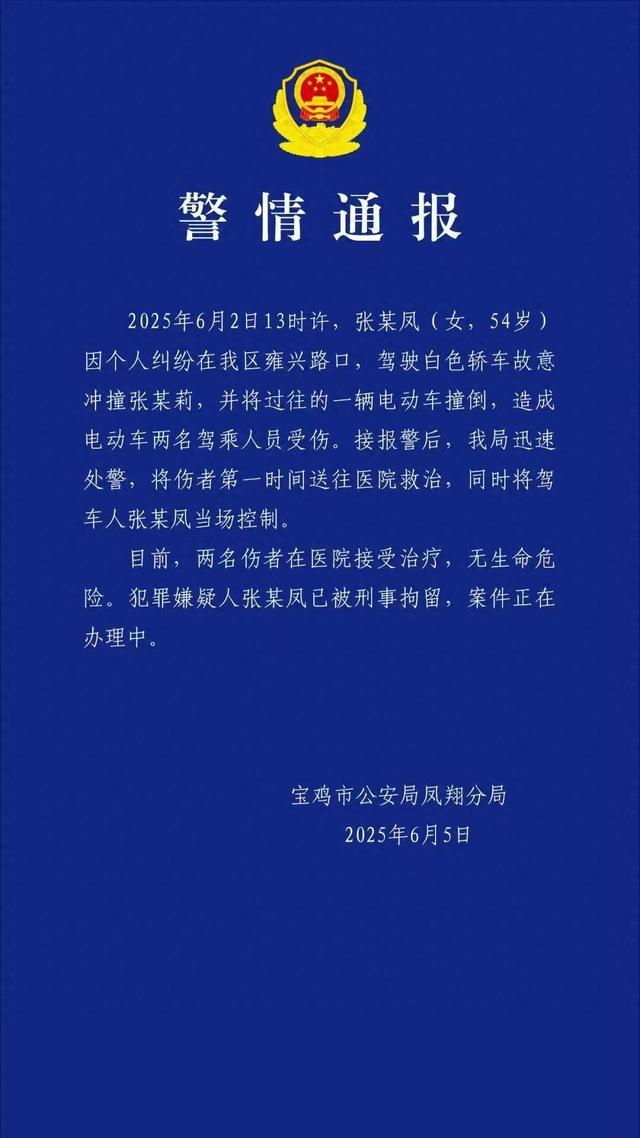 鸡市凤翔区一社区书记被刑拘并免职j9国际故意驾车伤人涉嫌犯罪